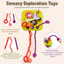 AiTuiTui Multifunction Baby Sensory Activity Cube Toys for 12 18 Months, Shape Sorter Early Learning Educational Interactive Toys for Toddlers 1 2 Year Old Boy Girl, 1st Birthday Gifts by TinyTreasures Baby Boutique
