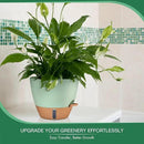 montresor 2 Pack 10 inch Plant Pots, PP Plastic Self Watering Planter with Drainage and Tray for Indoor Outdoor Plants, Water Level Window & Reservoir Flower Pots Decorative Planter (Green) by CozyNest Decor