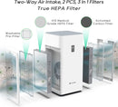 Y1000 Air Purifier Replacement Filter, 2-in-1 H13 True HEPA and High-Efficiency Activated Carbon Filters Set, 1 Set of 2pcs,Y1000Filter by TinyTreasures Baby Boutique
