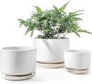 LE TAUCI Ceramic Plant Pots, 4.3+5.3+6.8 inch, Set of 3, Planters with Drainage Hole and Saucer, Indoor Flower Pot with Hole Mesh Pad, Gifts for Mom, White by GreenHaven Gardens