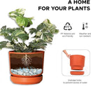 Elly Décor 14 inch Plastic Cylinder Planter Pot with Self-Watering Saucer and Drainage Hole,Lightweight & Extremely Durable, 14"x 14", Terracotta by GreenHaven Gardens