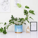 Gepege Ceramic Pots for Plants, Rainbow Pearl Glaze Planter with Drainage Hole, 6.0 inch+5.0 Inch+4.0 Inch. Indoor-Outdoor Large Round Succulent Orchid Flower Pot by GreenHaven Gardens