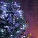 Fairy Lights Plug in,66FT 200 LEDs Waterproof Led String Lights,Twinkle Light with 8 Modes Remote for Outdoor Indoor Christmas Wedding Birthday Garden Party Decorations,Cool White by GreenHaven Gardens