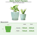 8 Inch + 6 Inch Plant Pots for Indoor Plants, Ceramic Planter with Drainage Hole and Saucers, Garden Pots for Succulent, Orchid, and Flower, Set of 2 by CozyNest Decor