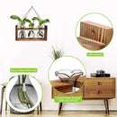 Plant Propagation Station Plant Terrarium Unique Birthday Gifts for Women Plant Lovers Home Office Decor Planter with Wooden Stand - 3 Bulb Glass Vase by GreenHaven Gardens