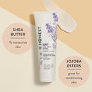 The Honest Company 2-in-1 Cleansing Shampoo + Body Wash and Face + Body Lotion Bundle | Gentle for Baby | Naturally Derived | Lavender Calm, 18.5 fl oz by TinyTreasures Baby Boutique