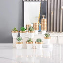 Yishang 36 pcs Small Mini White&Gold Clay Pots, 2.5'' Terracotta Pot Clay Ceramic Pottery Planter,Cactus Flower Terra Cotta Pots,Succulents Nursery Pots,with Drainage Hole, for Crafts,Wedding Favor by GreenHaven Gardens