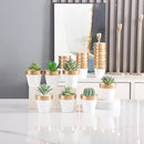 Yishang 72 pcs Small Mini White&Gold Clay Pots, 2.5'' Terracotta Pot Clay Ceramic Pottery Planter,Cactus Flower Terra Cotta Pots,Succulents Nursery Pots,with Drainage Hole,for Crafts,Wedding Favor by GreenHaven Gardens