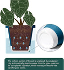 D'vine Dev 6 Inch Design Self Watering Planter for Indoor Plants, Blue Terracotta Pot with Cylinder Glass Cup, 37-X-B-4 by GreenHaven Gardens