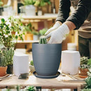 8 Inch Ceramic Plant Pot Large Planter Pot for Plants Indoor Outdoor Glaze Flower Pot with Drainage Hole and Saucer Gray by GreenHaven Gardens