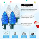 Brightown C9 LED Christmas String Lights, 66ft 100 LED Waterproof Strawberry String Lights, Plug-in Extendable Green Wire Lights String for Outdoor Outside Patio Party Decoration, Blue and White by GreenHaven Gardens