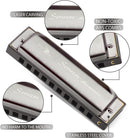 SWAN Blues Harmonica C Key for Kids& Adults, 10 Hole 20 Tone Diatonic Harmonica Key of C Blues Harp for Beginners& Students, Mouth Organ in Stainless Steel Gunmetal Black, SW1020-7C by TinyTreasures Baby Boutique