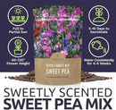 Sweet Pea Seeds Royal Mix - Bulk 1/4 Pound Bag - Over 1,400 Seeds - Large Fragrant Lavender, Purple, Red, Pink and White Blooms by GreenHaven Gardens