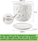 Orchid Pot with Holes & Saucer Ceramic 5.25 in. Indoor or Outdoor Large Pot for Orchid Care & Root Health with Precise Aeration & Drainage – Durable for Repotting or New Plants by GreenHaven Gardens