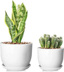 6.7 + 5.5 Inch Plant Pot, Ceramic Planter with Drainage and Saucer, Ceramic Pots for Plants, Indoor Plant pots,Succulent Pot Orchid Pots(Smooth White,Plant Pot Only) by GreenHaven Gardens