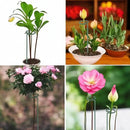 4.5mm Adjustable Length Plant Stake, Assembled (12 or 24 or 36 inch) Outdoor and Indoor Plant Support Poles for Flowers Marigolds Tomatoes Lilies Peonies Roses Daffodils Flower Clips (4 Sets, 16 Pcs) by GreenHaven Gardens