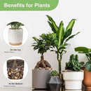 5 lbs Drainage Rocks for Potted Plants, 1/5 Inch Small Pebbles for Indoor Plants, Decorative Gravel for Vases, Bamboo, Succulent, Terrarium, Crafts, Cactus by CozyNest Decor