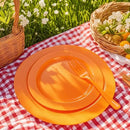 FLOWERCAT 60PCS Orange Plates - Heavy Duty Orange Plastic Plates Disposable for Halloween & Thanksgiving Party - Serve 30 Guests 10.25inch and 7.5inch by CozyNest Decor