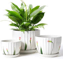 4/5/6 Inches Ceramic Plant Pots with Drainage Holes and Saucers, Round Flower Pots for Indoor Plant, Small Flower Planters Set of 3 (White Floral-Big Size) by CozyNest Decor