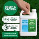 Maximum Green & Growth- High Nitrogen 28-0-0 NPK- Lawn Food Quality Liquid Fertilizer- Spring & Summer- Any Grass Type- Simple Lawn Solutions - Concentrated Quick & Slow Release Blend (1 Quart) by GreenHaven Gardens