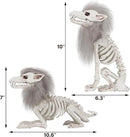 DR.DUDU 2 Pack Halloween Skeleton Wolf Decorations, Life Size Animals Skeletons Poseable Halloween Decor Plastic Bones with Hair Wolf Skull Figurines for Table Yard Lawn Party Props Décor by CozyNest Decor