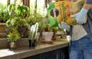 Miracle-Gro Cactus, Palm & Citrus Potting Mix and Succulent Plant Food - Bundle of Potting Soil (8 qt.) and Liquid Plant Food (8 oz.) for Growing and Fertilizing Indoor Succulents by GreenHaven Gardens