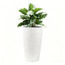 Tall Planters Set With Water Level Monitor And Auto Watering by HouseOfZazla