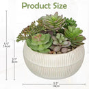 DILATATA Artificial Succulent Plants in Pot 5.5 Inch Fake Succulents Arrangement Potted Plant in White Ceramic Planter Bowl for Home Office Desk Shelf Living Room Bedroom Bathroom Decor by GreenHaven Gardens