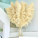 46" inch 11 Stems Natural Pampas Grass Tall Decor,Pompas Grass,Large Beige Tall Pampas Grass for Floor Vase,Wedding Decorations,Party,Boho Home Decor,and Creating a Boho Ambiance by CozyNest Decor