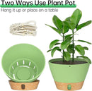 ZMTECH 2 Pack 10 Inch Hanging Planters with Macrame Plant Hanger for Indoor and Outdoor Plants, Self Watering, Drainage Hole, Visible Level Tray, Green by GreenHaven Gardens