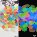 Oismys Glow in Dark Rocks Luminous Stones 200Pcs Garden Accessories Micro Landscape Fish Tank Decoration Outdoor Patio Lawn Yard Kit by GreenHaven Gardens