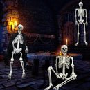 5.4Ft Halloween Skeleton - Life Size Full Body Realistic Human Bones with Posable Joints for Halloween Pose Skeleton Prop Decoration by GreenHaven Gardens