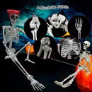 5.4ft/165cm Halloween Skeleton - Life Size Skeleton Full Body Realistic Human Bones with Posable Joints for Halloween Pose Skeleton Prop Decoration (5.4Ft&3Ft) by GreenHaven Gardens