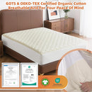 Lofe Organic Cotton King Mattress Protector - Top&Side 100% Waterproof Mattress Protectors, Breathable Organic Mattress Protector, Noiseless King Mattress Protectors Waterproof 80x76x17 in by TinyTreasures Baby Boutique