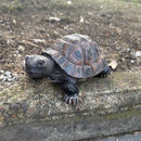 Danmu 1Pc of Polyresin Tortoise Statue Garden Statues, Outdoor Statues, Garden Ornaments, Yard Statue for Home and Fairy Garden Decor (S 5 1/10" x 4 1/3" x 2 1/3") by GreenHaven Gardens