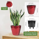 Dexceder 9x8 Inches High Gloss Self Watering Planter Indoor Outdoor, Inner Pot Design, Thickened Table Flower Plant Pot with Water Level Indicator (Red) by GreenHaven Gardens