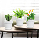 6 inch Plastic Nursery Pots, 16 Pack Plant Pots for Indoor Outdoor Plants, Flower Pots with Drainage Holes and Saucers, Decorative Seedling Starter Planters for House Plants, White by GreenHaven Gardens