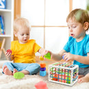 Baby Sensory Activity Toys for 1 Year Old Boy Girl Gifts, Sensory Shape Sorter Cube with Soft Textured Balls for 6 12 18 Months Infants Motor Skills Early Development, Toddlers 1 2 Birthday Gift by TinyTreasures Baby Boutique