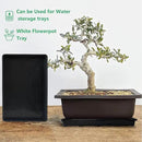 5 Pack Nursery Potting Tray, Carrying and Holding Plant Tray for Seeds Starting Pot, Collecting Drainage Water(Black) by GreenHaven Gardens