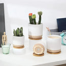 AOMRYOM 4 Inch Small Ceramic Plant Pots with Drainage Hole and Saucer, Modern Flower Planter for Succulent, Indoor Plants, Cactus, Herbs, White, Set of 4 (Plant Not Included) by GreenHaven Gardens