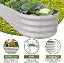 6x2x1ft Oval Galvanized Raised Garden Bed Outdoor 9-in-1 Large Metal Modular Planter Box Raised Beds for Gardening,Vegetables,Fruits,Flowers & Herbs (White) by GreenHaven Gardens
