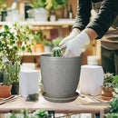 8 Inch Plant Pot Ceramic Planter Pot with Drainage Hole and Saucer Modern Round Flower Pot for Indoor Plants Light Gray by GreenHaven Gardens
