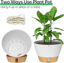 ZMTECH 2 Pack 10 Inch White Hanging Planters with Macrame Plant Hanger for Indoor and Outdoor Plants, Self Watering, Drainage Hole, Visible Level Tray by CozyNest Decor