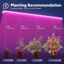 FREELICHT 1 Pack 4FT LED Grow Light, 40W (250W Equivalent), Red Blue (660nm+460nm) Full Spectrum Grow Light for Indoor Plants, Linkable Plug in Plant Growing Lamps for Hydroponic Seeding Veg Flower by GreenHaven Gardens