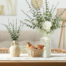 24Pcs Faux Eucalyptus Stems, 15" Artificial Eucalyptus Plants with White Frosted Coating, Fake Eucalyptus Decor Plastic Greenery Leaves for Wedding Bouquets Home Decor DIY Floral Arrangements by CozyNest Decor
