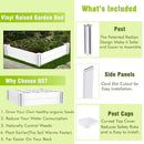 Raised Garden Bed Kit 4'x4' Outdoor Above Ground Planter Box for Growing Vegetables Flowers Herbs, DIY Gardening, Whelping Pen and More, Screwless White Vinyl Garden Bed with Grid by GreenHaven Gardens