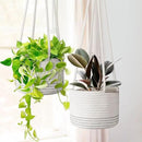Flexzion Hanging Plant Basket Boho Cotton Rope Basket Indoor Hanging Planter, Up to 7" Flower Pot, Macrame Woven Modern Plant Holder, Storage Bin Organizer, Home Decor with 20" Hanging Rope, White by GreenHaven Gardens