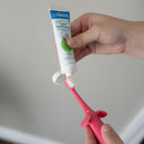 Dr. Brown's Infant-to-Toddler Toothbrush, Elephant, Pink, 0-3 Years by TinyTreasures Baby Boutique