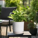 Ceramic Planter Pot - 10 Inch Plant Pot for Indoor Outdoor Plants Round Large Flower Pot with Drainage Holes and Saucer for Home Garden Patio Decor White by GreenHaven Gardens