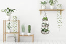 CAXXA 3-Tier Hanging Basket Fruit Organizer Kitchen Heavy Duty Wire Organizer with 2 Free Bonus Metal Ceiling Hooks(Bronze) by CozyNest Decor